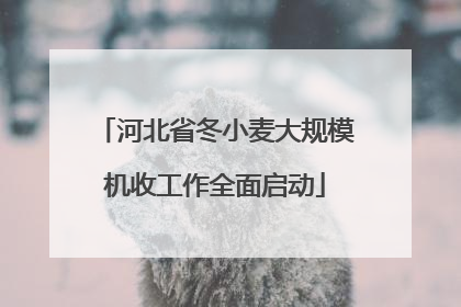 河北省冬小麦大规模机收工作全面启动
