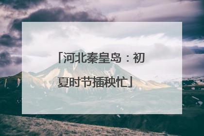 河北秦皇岛：初夏时节插秧忙