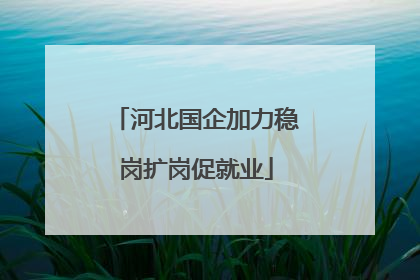 河北国企加力稳岗扩岗促就业