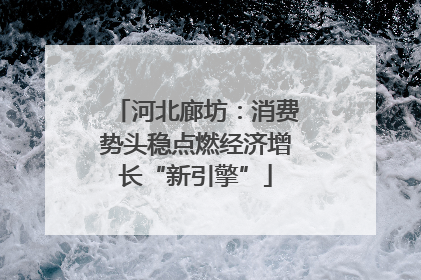 河北廊坊：消费势头稳点燃经济增长“新引擎”