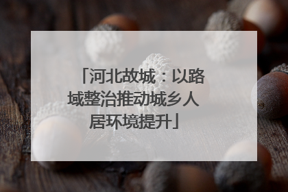 河北故城：以路域整治推动城乡人居环境提升