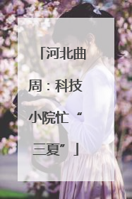 河北曲周：科技小院忙“三夏”