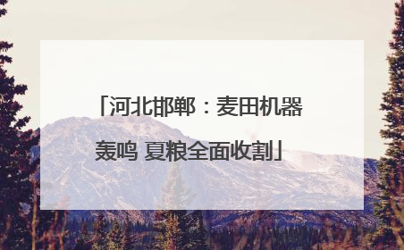河北邯郸：麦田机器轰鸣 夏粮全面收割