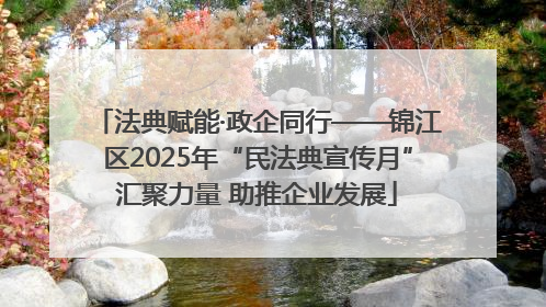 法典赋能·政企同行——锦江区2025年“民法典宣传月”汇聚力量 助推企业发展