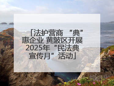 法护营商 “典”惠企业 黄陂区开展2025年“民法典宣传月”活动