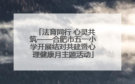 法育同行 心灵共筑——合肥市五一小学开展结对共建暨心理健康月主题活动