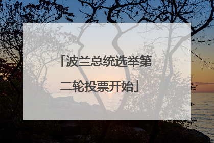 波兰总统选举第二轮投票开始