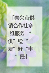 泰兴市供销合作社多维服务 “供”绘“三夏”好“丰”景