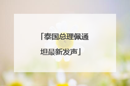 泰国总理佩通坦最新发声