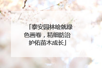 泰安园林绘就绿色画卷，精细防治护佑苗木成长