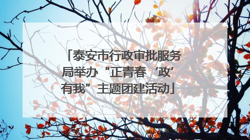 泰安市行政审批服务局举办“正青春‘政’有我”主题团建活动