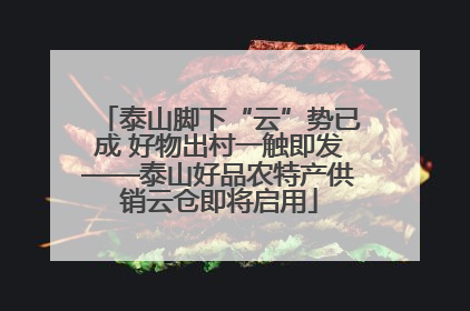 泰山脚下“云”势已成 好物出村一触即发——泰山好品农特产供销云仓即将启用