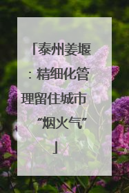 泰州姜堰：精细化管理留住城市“烟火气”