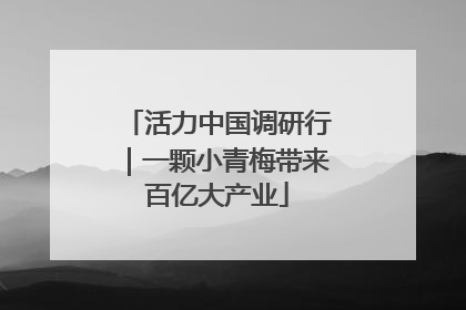 活力中国调研行｜一颗小青梅带来百亿大产业