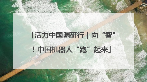 活力中国调研行｜向“智”！中国机器人“跑”起来