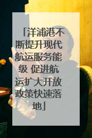洋浦港不断提升现代航运服务能级 促进航运扩大开放政策快速落地