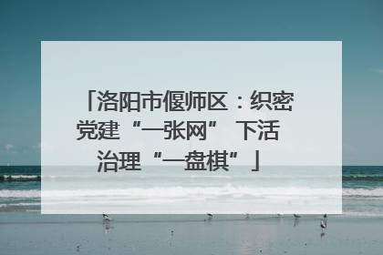 洛阳市偃师区：织密党建“一张网” 下活治理“一盘棋”