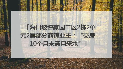 海口坡博家园二区2栋2单元2层部分商铺业主：“交房10个月未通自来水”