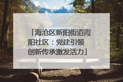 海沧区新阳街道霞阳社区：党建引领 创新传承激发活力