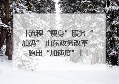 流程“瘦身”服务“加码” 山东政务改革跑出“加速度”