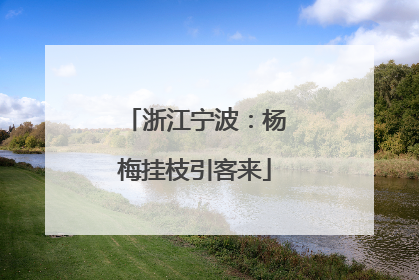 浙江宁波：杨梅挂枝引客来