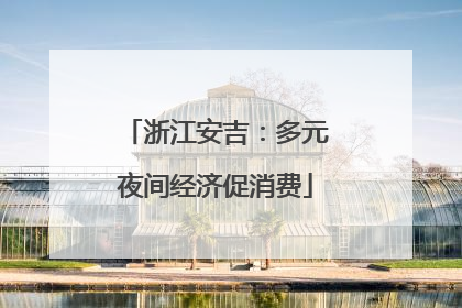 浙江安吉：多元夜间经济促消费