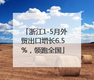 浙江1-5月外贸出口增长6.5%，领跑全国