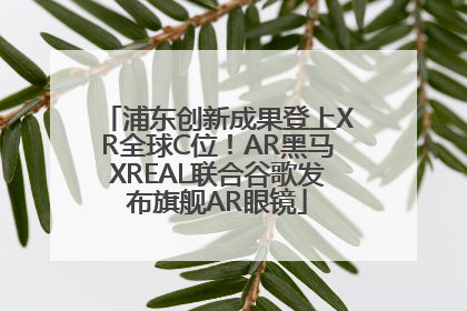 浦东创新成果登上XR全球C位！AR黑马XREAL联合谷歌发布旗舰AR眼镜