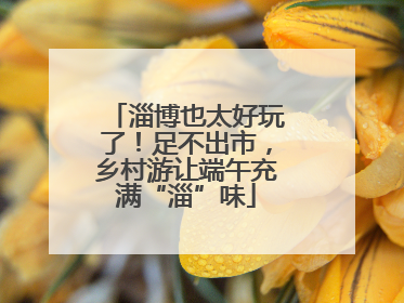淄博也太好玩了！足不出市，乡村游让端午充满“淄”味