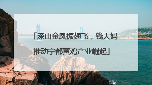 深山金凤振翅飞，钱大妈推动宁都黄鸡产业崛起