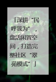 深耕“民呼我为”，盘活闲置空间，打造完整社区“翠苑模式”