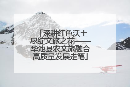 深耕红色沃土 尽绽文旅之花——华池县农文旅融合高质量发展走笔