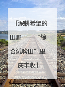 深耕希望的田野——“综合试验田”里庆丰收