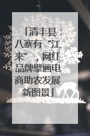 清丰县：八寨有“江来”，网红品牌擘画电商助农发展新图景