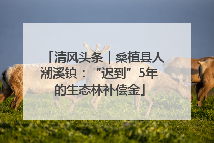 清风头条｜桑植县人潮溪镇：“迟到”5年的生态林补偿金