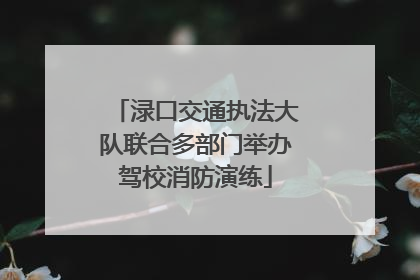 渌口交通执法大队联合多部门举办驾校消防演练