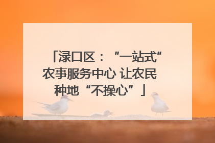 渌口区：“一站式”农事服务中心 让农民种地“不操心”