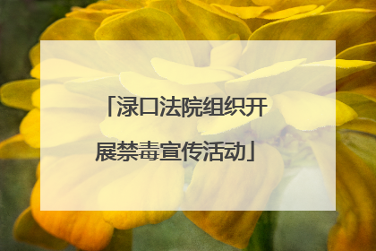 渌口法院组织开展禁毒宣传活动