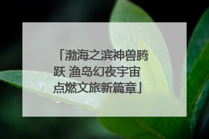 渤海之滨神兽腾跃 渔岛幻夜宇宙点燃文旅新篇章