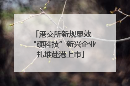 港交所新规显效 “硬科技”新兴企业扎堆赴港上市
