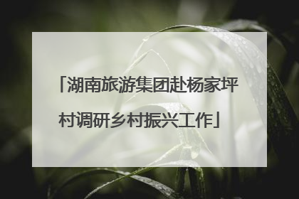 湖南旅游集团赴杨家坪村调研乡村振兴工作