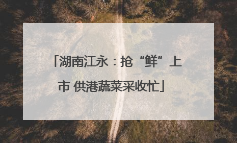 湖南江永：抢“鲜”上市 供港蔬菜采收忙
