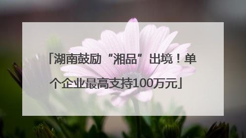 湖南鼓励“湘品”出境！单个企业最高支持100万元
