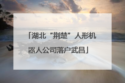 湖北“荆楚”人形机器人公司落户武昌