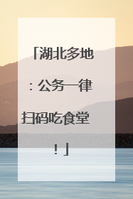 湖北多地：公务一律扫码吃食堂！