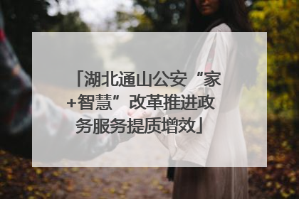 湖北通山公安“家+智慧”改革推进政务服务提质增效