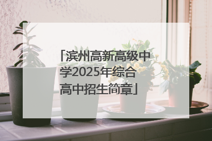 滨州高新高级中学2025年综合高中招生简章