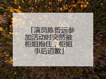 演员陈哲远参加活动时突然被柜姐抱住，柜姐事后道歉