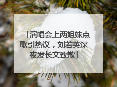 演唱会上两姐妹点歌引热议，刘若英深夜发长文致歉