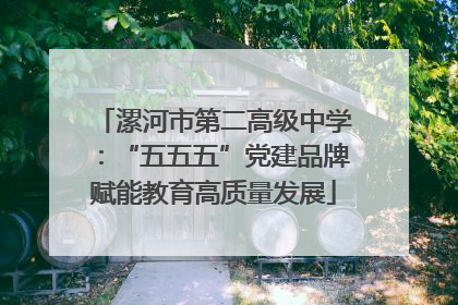 漯河市第二高级中学：“五五五”党建品牌赋能教育高质量发展